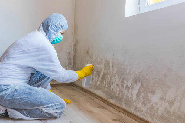 Best Industrial Mold Remediation  in Desert Aire, WA